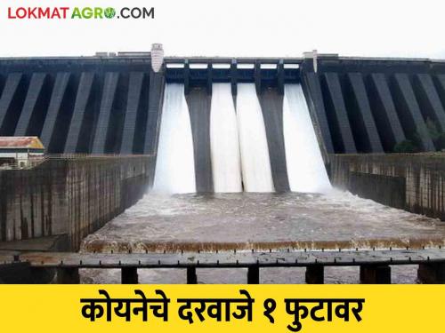 Koyna Dam : The gates of Koyna were raised to one foot | Koyna Dam : कोयनेचे दरवाजे एक फुटावर आणले किती होतोय विसर्ग