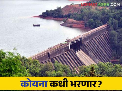 Koyna Dam Water Level: How much more water is needed to fill Koyna Dam | Koyna Dam Water Level : कोयना धरण भरण्यासाठी अजून किती पाण्याची गरज