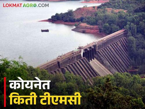 Koyna Dam Water Level: It rained like the sky was bursting, how much TMC water come in Koyna dam in lsat 2 days | Koyna Dam Water Level: आभाळ फाटल्यासारखा पाऊस कोयनेत २ दिवसांत आलं इतकं टीएमसी पाणी