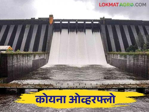 Koyna Dam Water Level : Good news Koyna Dam is 100 percent full | Koyna Dam Water Level : गुडन्यूज कोयना धरण १०० टक्के भरले