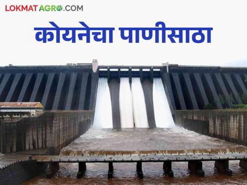 Koyna Dam Water Level: Heavy rain this season, how much water in Koyna, Varana | Koyna Dam Water Level : यंदाच्या हंगामात दमदार पाऊस कोयना, वारणेत किती पाणी