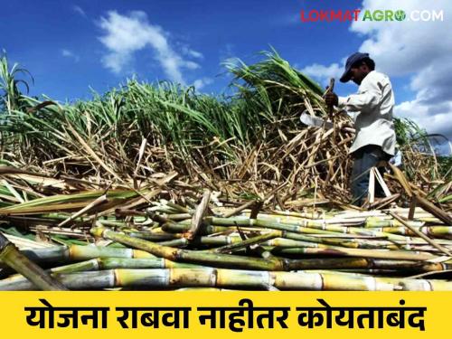 Ustod Kamgar Mahamandal : 10 lakh sugarcane workers in the state deprived due to lack of registration | Ustod Kamgar Mahamandal : राज्यातील १० लाख ऊसतोड मजूर नोंदणीअभावी वंचित