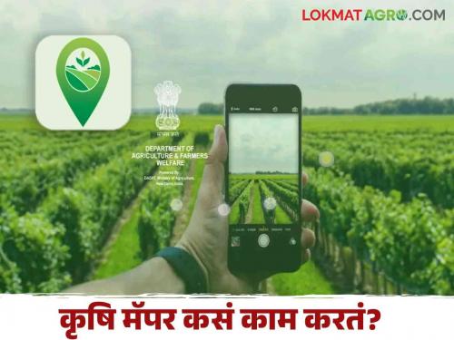 Latest News agriculture News How and what does the krishi Mapper app work Know in detail  | Krishi Mapper : कृषि मॅपर अँप कसं आणि काय काम करतं? जाणून घ्या सविस्तर 