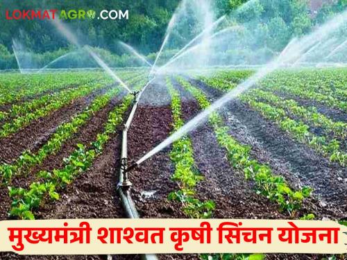 Latest News 400 crores of funds to implement the Agricultural Irrigation Scheme in the year 2024-25 | यंदा ठिबक सिंचन, तुषार सिंचन आणि वैयक्तिक शेततळ्यासाठी निधी मंजूर, वाचा सविस्तर