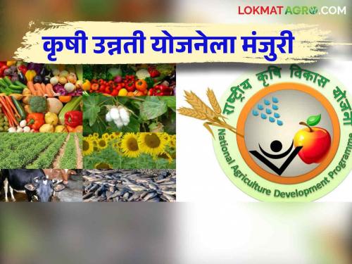 Union Cabinet approves Krishi Unnati Yojana to promote sustainable agriculture | शाश्वत शेतीला प्रोत्साहन देण्यासाठी कृषी उन्नती योजनेला केंद्रीय मंत्रिमंडळाची मंजुरी