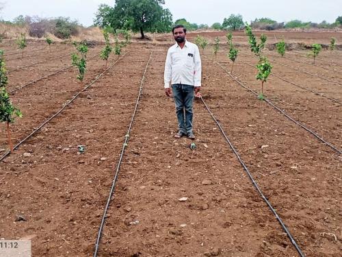 Only four percent of the state sows yet due to lack of monsoon | राज्यात अद्याप केवळ चार टक्के पेरण्या; दुबार पेरण्यांचेही सावट