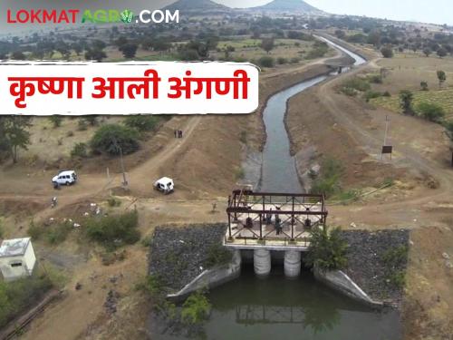 The water of the Tembhu Yojana spilled into the stream of Atpadi | टेंभू योजनेचे पाणी आटपाडीच्या ओढ्यात खळाळले