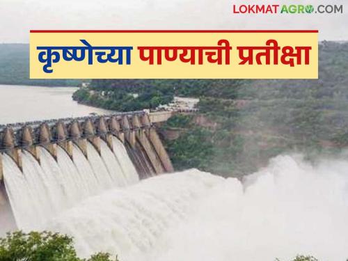 latest news Krishna River Project: When will Krishna water come? Tender process for Phase 6 has not started yet, read in detail | Krishna River Project : कृष्णेचे पाणी कधी येणार? टप्पा ६ची निविदा प्रक्रियाच सुरू नाही वाचा सविस्तर