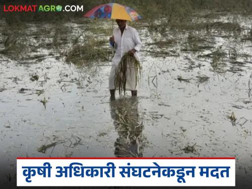 Latest news agriculture news Assistant Agriculture Officer decides to give one day's salary to affected farmers | कृषिमंत्री साहेब, आमचा एका दिवसाचा पगार शेतकऱ्यांच्या खात्यावर वर्ग करा, वाचा सविस्तर 
