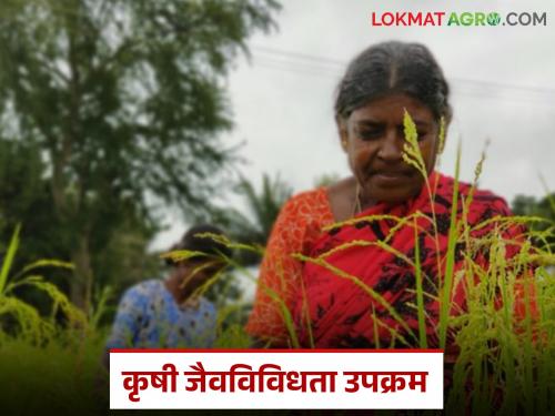 Latest News Agriculture News 40 percent cost savings from agricultural biodiversity initiatives | अर्धा एकरात करण्यासारखा प्रयोग, 40 टक्के खर्च कपात, काय आहे कृषी जैवविविधता उपक्रम 