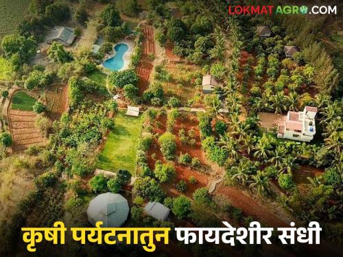 Latest news Krushi Paryatan Start agritourism in your farm, opportunity to earn lakhs of rupees, read in detail | Krushi Paryatan : तुमच्या शेतात सुरु करा कृषी पर्यटन, लाखो रुपये कमविण्याची संधी, वाचा सविस्तर 