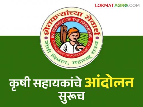 Warning of complete work stoppage from May 15 if demands of agricultural assistants are not complete | कृषी सहायकांच्या मागण्या मान्य न झाल्यास १५ मेपासून पूर्ण काम बंद आंदोलनाचा इशारा