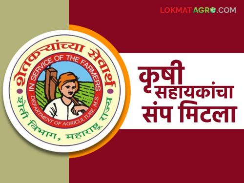Agricultural assistants' strike called off; what demands were accepted? Find out in detail | कृषी सहायकांचा संप मागे; कोणकोणत्या मागण्या झाल्या मान्य? जाणून घ्या सविस्तर