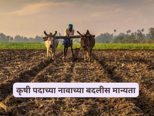 Latest News Approval to change names of Agricultural Assistant, Agricultural Supervisor, read the cabinet decision | कृषी सहाय्यक, कृषि पर्यवेक्षक यांची नावे बदलण्यास मान्यता, वाचा मंत्रिमंडळ निर्णय 