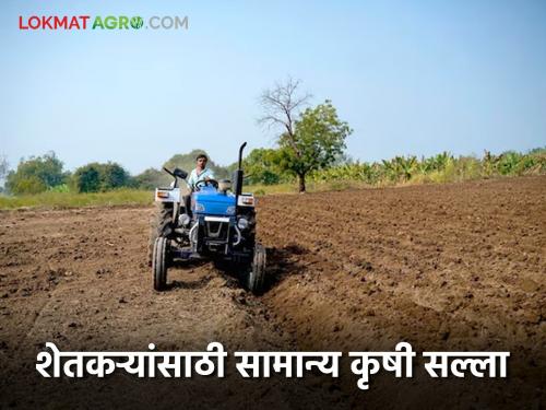 Latest news General agricultural advisory for farmers from Agriculture Department | किती पाऊस झाल्यावर पेरणी कराल? आंतरपिके कोणती घ्याल? वाचा सविस्तर 