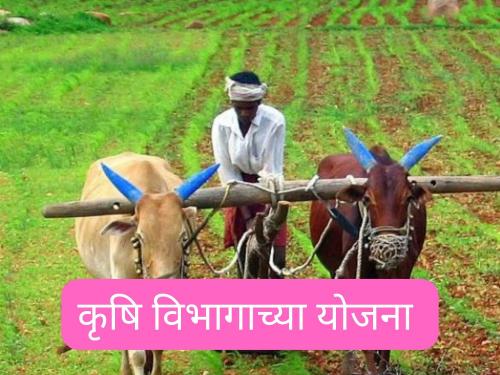 Latest News Farmers should submit applications for agricultural schemes, Agriculture Department appeals | शेतकऱ्यांनी कृषी योजनांच्या लाभासाठी अर्ज सादर करावेत, कृषी विभागाचं आवाहन 