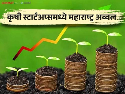 Increased percentage of agricultural entrepreneurs | Increased percentage of agricultural entrepreneurs: कृषी उद्योजकांचा वाढला टक्का