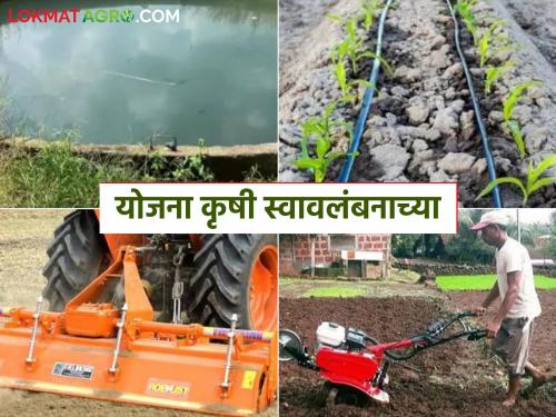 You can get the benefit of 12 factors from this one scheme of the Agriculture Department; Know the details | कृषी विभागाच्या ह्या एका योजनेतून घेता येतोय १२ घटकांचा लाभ; जाणून घ्या सविस्तर