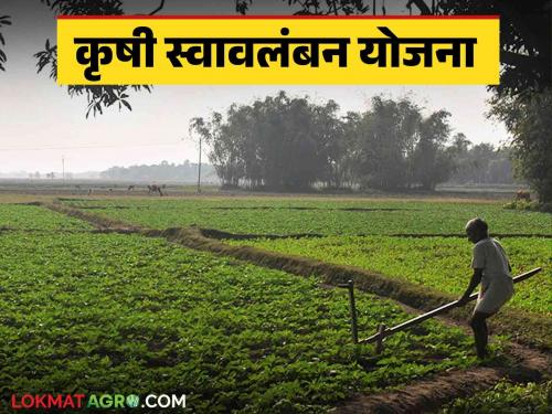 Krushi Swavalamban Yojana : Participate in Agriculture Swavalamban Yojana; Get up to 90 percent subsidy | Krushi Swavalamban Yojana : कृषी स्वावलंबन योजनेत सहभागी व्हा; ९० टक्क्यांपर्यंत अनुदान मिळवा