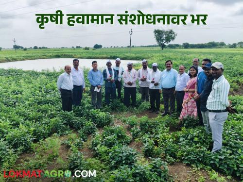 Will farmers make progress through dryland and agrometeorological technology? Read in detail | कोरडवाहू व कृषी हवामानशास्त्र तंत्रज्ञानातून शेतकरी साधतील का प्रगती? वाचा सविस्तर