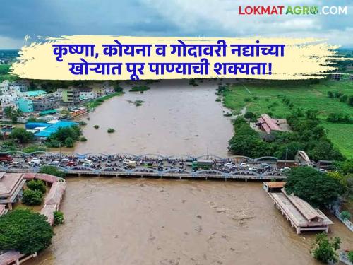 Latest News maharashtra rain update Chances of flood water in Krishna, Koyna and Godavari river valleys, know in detail  | Maharashtra Rain Update : कृष्णा, कोयना व गोदावरी नद्यांच्या खोऱ्यात पूर पाण्याची शक्यता, जाणून घ्या सविस्तर 