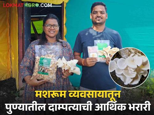 Mushroom Success Story: Leaving a job in the film industry, started a mushroom business; The turnover of lakhs of couple in Pune | Mushroom Success Story : फिल्म इंडस्ट्रीतील जॉब सोडून सुरू केला मशरूम व्यवसाय; पुण्यातील दाम्पत्याची लाखोंची उलाढाल