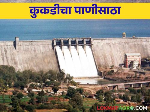 Kukadi Project Water: 64.82 percent water storage in Kukadi Project due to heavy rains | Kukadi Project Water: मुसळधार पावसामुळे कुकडी प्रकल्पात ६४.८२ टक्के पाणीसाठा