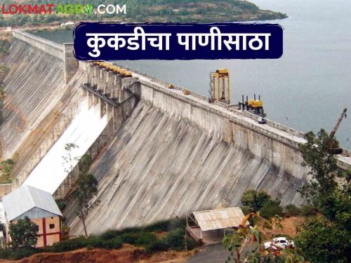 Water storage increased in Kukdi project dams, how much water in which dam? | कुकडी प्रकल्पातील धरणांमध्ये पाणीसाठा वाढला? कोणत्या धरणात किती पाणी?