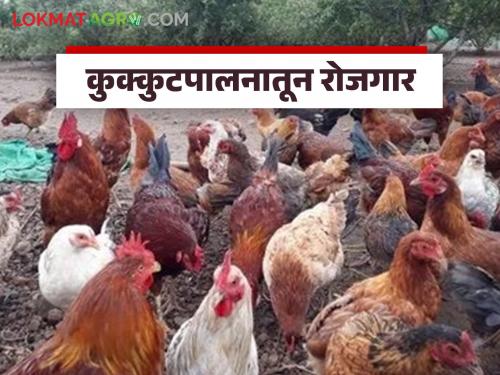 Latest news Poultry Farm Women from self-help group set up poultry farming business with Rs. 80 thousand | Poultry Farm : 80 हजार रूपयांतून उभारला कुक्कुटपालन व्यवसाय, आता महिन्याला....