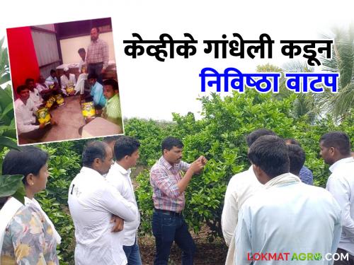 Distribution of Mosambi Special Extract to the farmers to stop fruitdrop in Mosambi orchards | मोसंबी बागेतील फळगळ थांबविणार्‍या मोसंबी स्पेशल अर्कचे शेतकरी बांधवांना वाटप