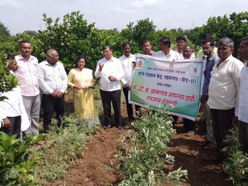 Launch of 'Krishi Vigyan Kendra apalya Dari, tantragyan Shetavari' campaign | ‘कृषी विज्ञान केंद्र आपल्या दारी, तंत्रज्ञान शेतावरी’ मोहिमेला सुरूवात