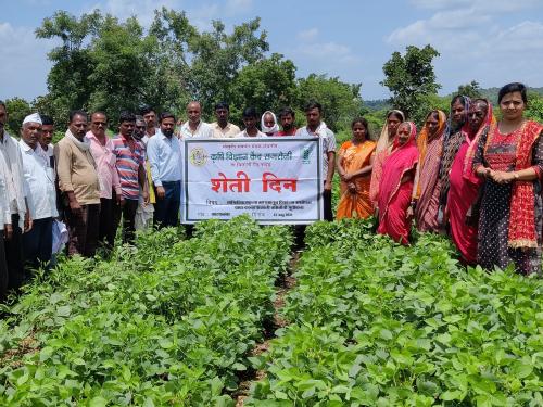 How did Nanded farmers incrased organic carbon in farm | नांदेडच्या शेतकऱ्यांच्या जमिनीतला सेंद्रिय कार्बन वाढला, त्याची गोष्ट