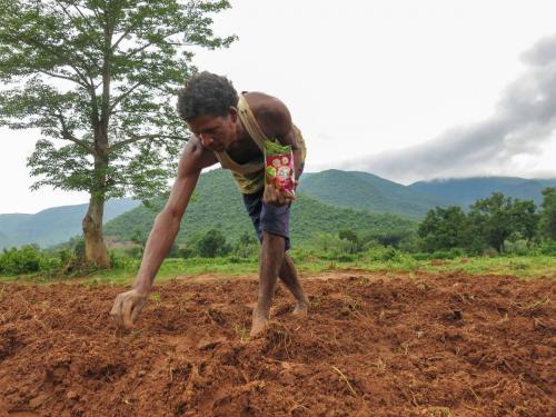 Before sowing remember 'this', sow only if it rains so much | पेरणी करण्यापूर्वी 'हे' लक्षात घ्या, इतका पाऊस झाला तरच करा पेरणी