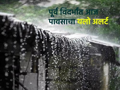 Yellow alert for rain in Vidarbha today, exposure remains in rest of the state | आज विदर्भात पावसाचा यलो अलर्ट, उर्वरित राज्यात उघडीप कायम