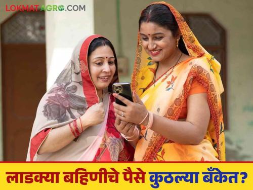Ladki Bahin Yojana application approved but money not deposited? Check online like this | लाडकी बहिण योजनेचा अर्ज मंजूर पण पैसे जमा झाले नाहीत? असे करा ऑनलाईन चेक