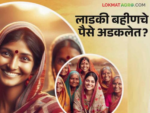 Ladki Bahin Yojana : Ladki Bahin Yojana money not deposit yet? What are the reasons read in detail | Ladki Bahin Yojana : लाडकी बहीण योजनेचे पैसे अजून जमा झाले नाहीत? काय आहेत कारणं वाचा सविस्तर