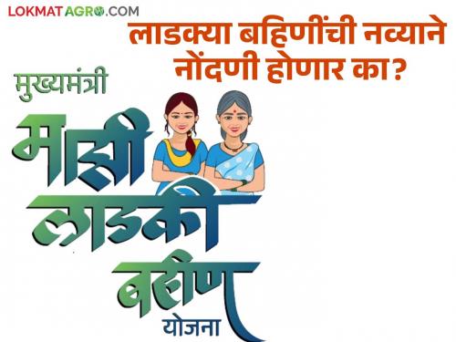 Ladki Bahain Yojana : Major changes may happen in Ladki Bahain Yojana read in detail | Ladki Bahain Yojana : लाडकी बहीण योजनेमध्ये होऊ शकतात हे मोठे बदल वाचा सविस्तर