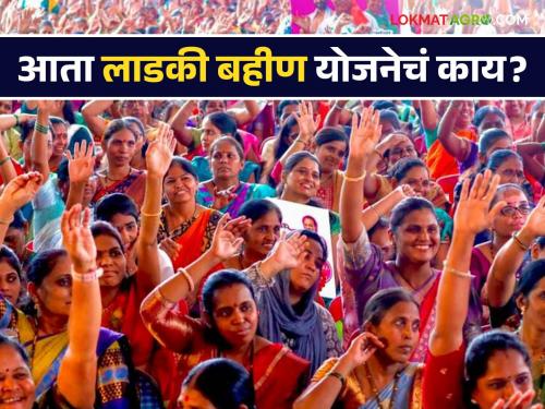 Latest News ladki bahin yojana payment installment schedule december after maharashtra vidhan sabha results 2024 see details | Ladki Bahin Yojana : लाडक्या बहिणांना पुढचा हफ्ता कधी मिळणार? जाणून घ्या सविस्तर 