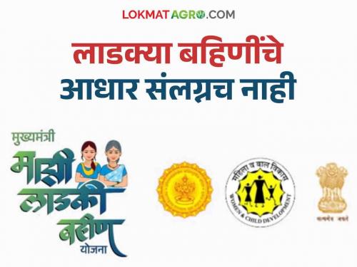 Ladki Bahin Yojana : Applications of Ladki Bahin Yojana approved in the state | Ladki Bahin Yojana : राज्यातील कोटींच्यावर लाडक्या बहिणींचे अर्ज मंजूर; लाखो बहिणींचे आधार संलग्नला लागतोय वेळ  