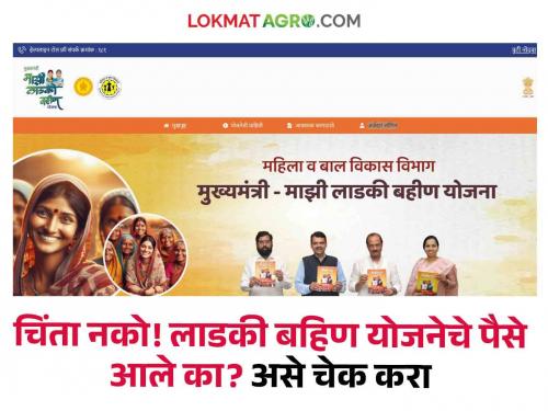 Majhi ladki bahin yojana : Farmer sisters, what to do if the money of Ladki Bahin Yojana does not come to the account? find out | Majhi ladki bahin yojana : शेतकरी भगिनींनो, लाडकी बहिण योजनेचे पैसे खात्यावर आले नाही, तर काय करायचे? जाणून घ्या