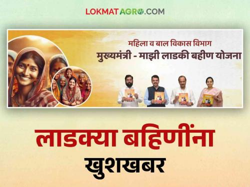 Ladki Bahin Yojana : The money will be received on the sweet day of Diwali of beloved sisters; Read in detail | Ladki Bahin Yojana : लाडक्या बहिणींची दिवाळी होणार गोड 'या' दिवशी मिळणार पैसे; वाचा सविस्तर