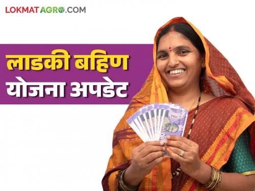 ladki Bahin Yojana: Dear sisters! Will you get 2100 in the new year? Read in detail | ladki Bahin Yojana: लाडक्या बहिणींना! नव्या वर्षात मिळणार का २१००? वाचा सविस्तर