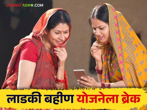 Latest News Ladaki Bahin Yojana Break, New Applications Stopped, Know More ladki bahin scheme | Ladki Bahin Yojana : मुख्यमंत्री लाडकी बहीण योजनेला ब्रेक, नवीन अर्ज थांबवले, जाणून घ्या सविस्तर 