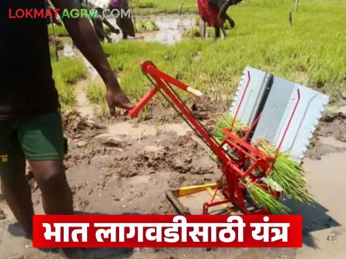 Latest News Bhat Lagvad Rice cultivation through machines, 70 percent labor savings, know the details | Bhat Lagvad : यंत्राद्वारे भाताची लागवड, मजुरीत 70 टक्के बचत, जाणून घ्या सविस्तर 
