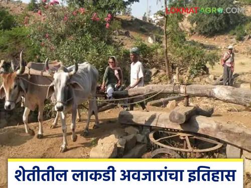 latest news Wooden Farming Tools : Wooden farming tools disappear over time... Traditional tools are becoming history in modern agriculture! | Wooden Farming Tools : लाकडी शेती अवजारे काळाच्या ओघात लुप्त... आधुनिक शेतीत इतिहास बनतायत पारंपरिक साधने!