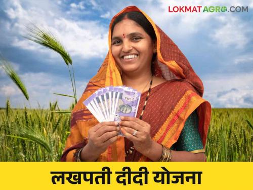 Ladies, stop worrying about money now; Get interest free loan for business | महिलांनो, पैशाची चिंता आता सोडा; व्यवसायासाठी मिळेल बिनव्याजी कर्ज