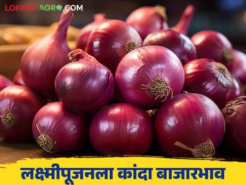 What is the price of local onion in Pune for Lakshmi Pujan? Read today's market prices | Kanda Bajarbhav : लक्ष्मीपूजनला पुण्यात लोकल कांद्याला काय भाव मिळाला? वाचा आजचे बाजारभाव