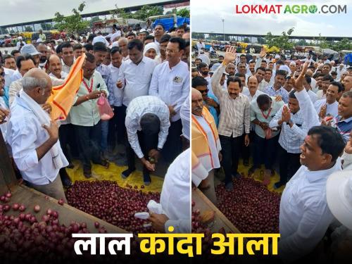 Latest News Lal Kanda Market Red onion arrived in Umrane market, how market price, read in detail | Lal Kanda Market : उमराणे मार्केटमध्ये लाल कांदा आला, काय दर मिळाला, वाचा सविस्तर 