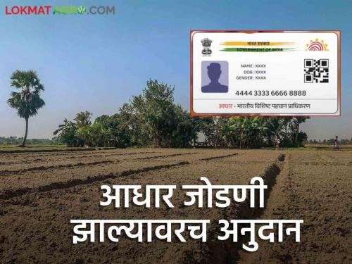 Agriculture land of one crore farmers will be seeded to Aadhaar | एक कोटी शेतकऱ्यांची शेती जोडली जाणार आधारला