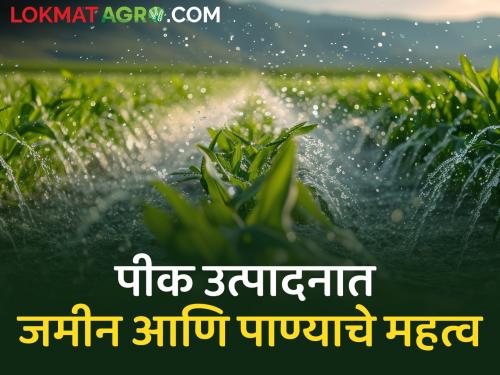 Latest News Land and water factors are important in crop production, read more | Crop Management : पीक उत्पादनात जमीन आणि पाणी घटकांना महत्व, कारण... वाचा सविस्तर 